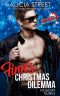 [Holiday Hunks 03] • Finn's Christmas Dilemma